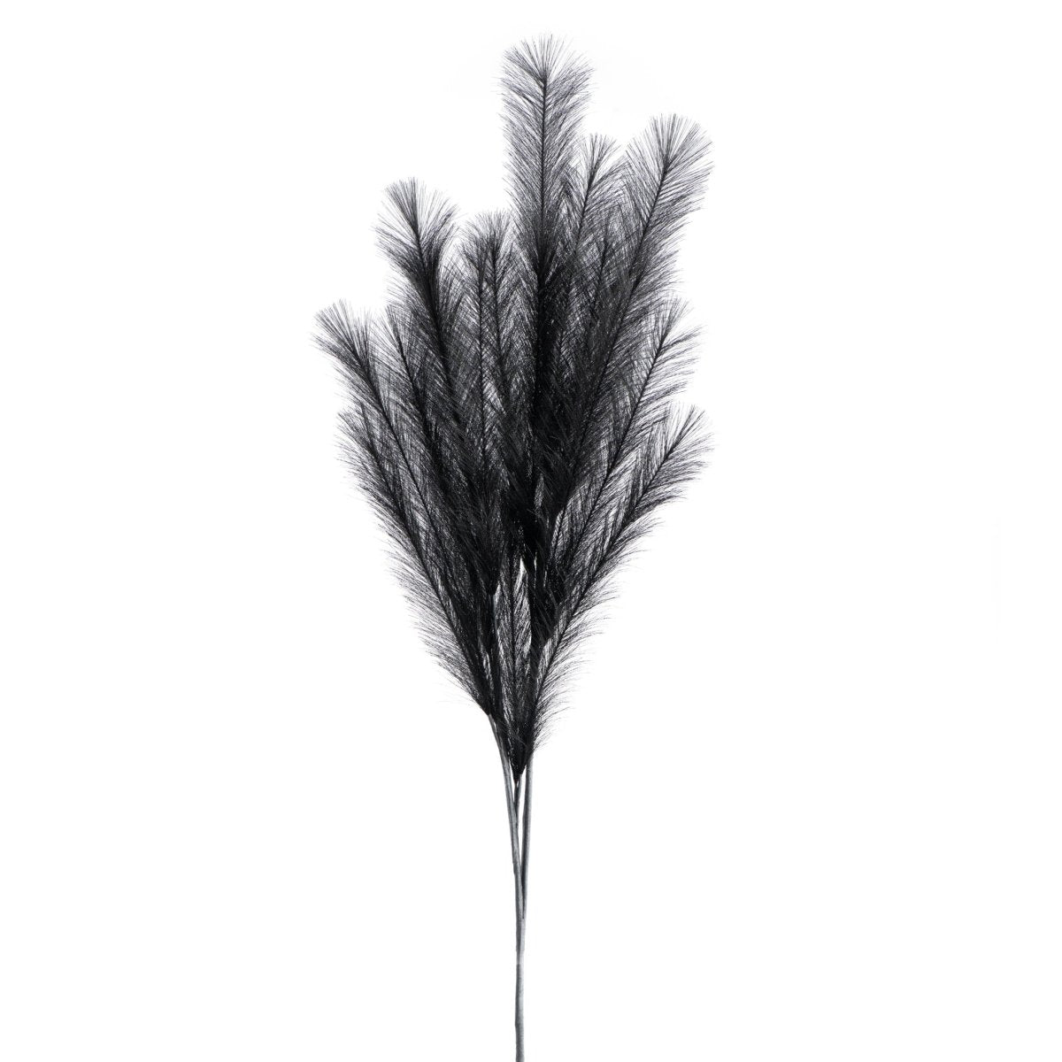 Black Desert Feather Pampas Stem Black - Rustic Furniture Outlet