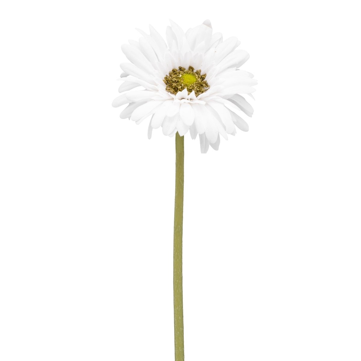 Marguerite Gerbera 24 tige blanche - Rustic Furniture Outlet