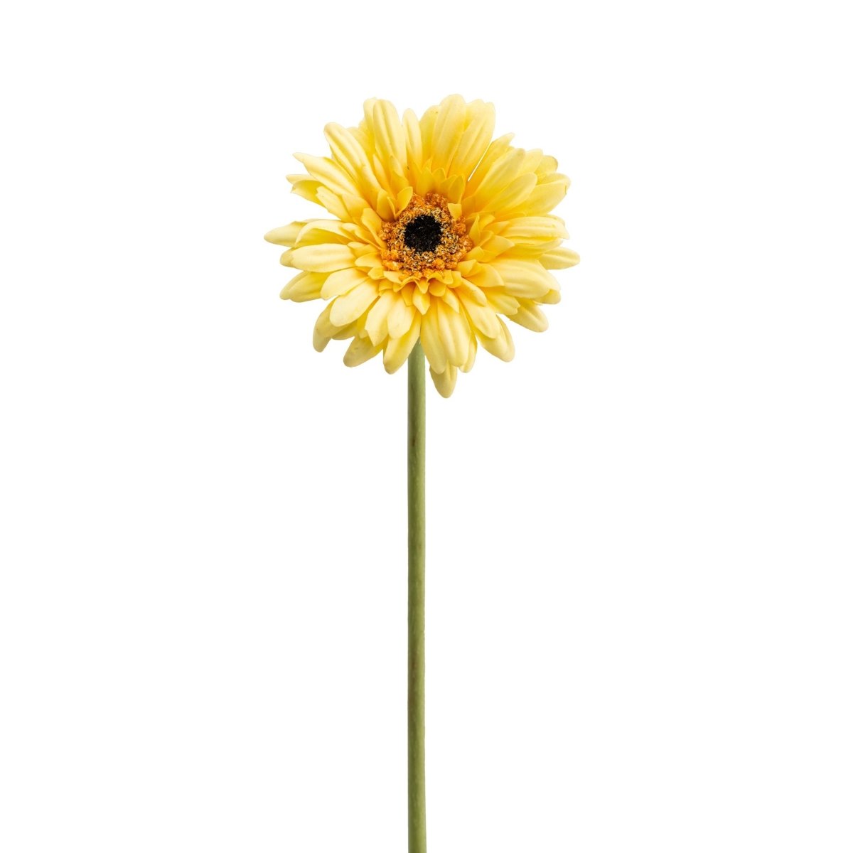 Marguerite Gerbera 24 pouce Tige Jaune - Rustic Furniture Outlet