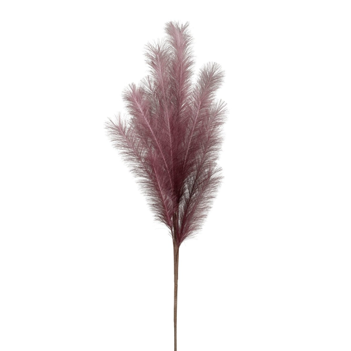 Purple Desert Feather Pampas Stem Purple - Rustic Furniture Outlet
