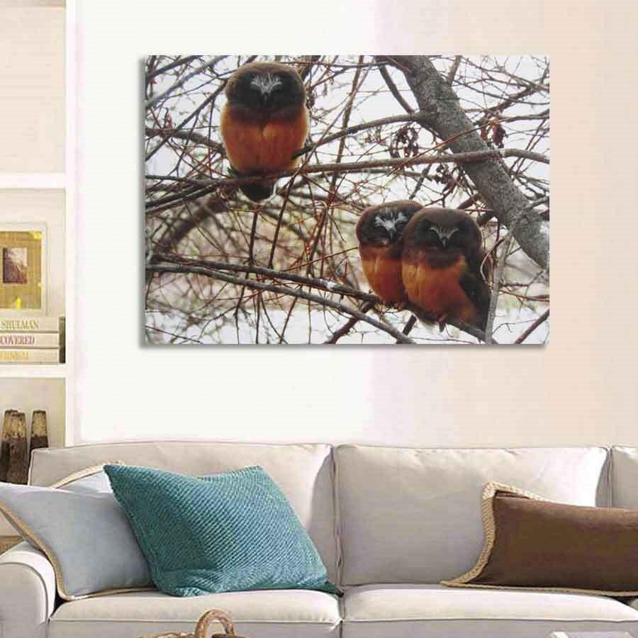 Owls Perched on Branches, Printed on Canvas - Rustic Furniture Outlet