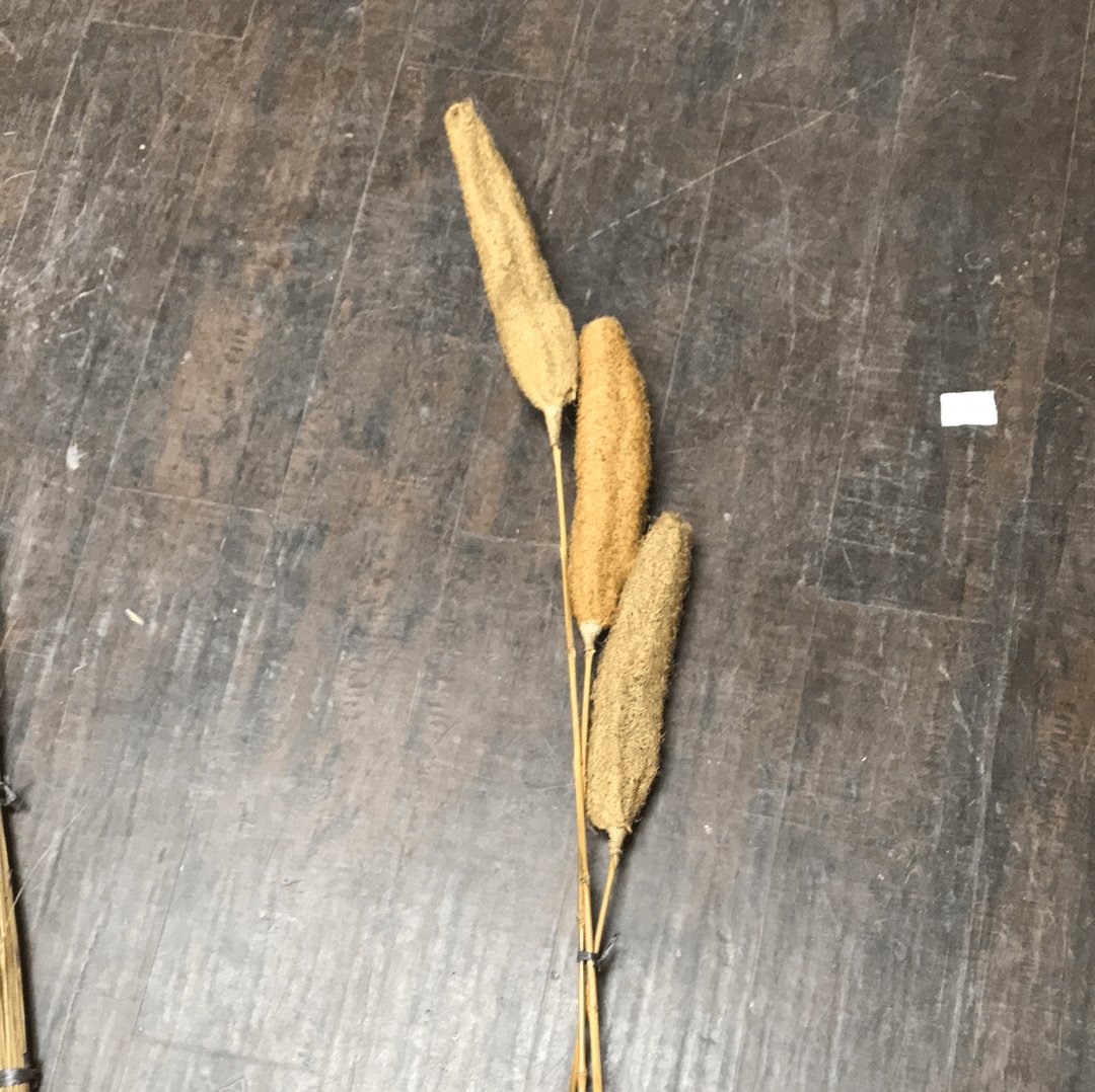 Pandanus Deco Stick G - Rustic Furniture Outlet