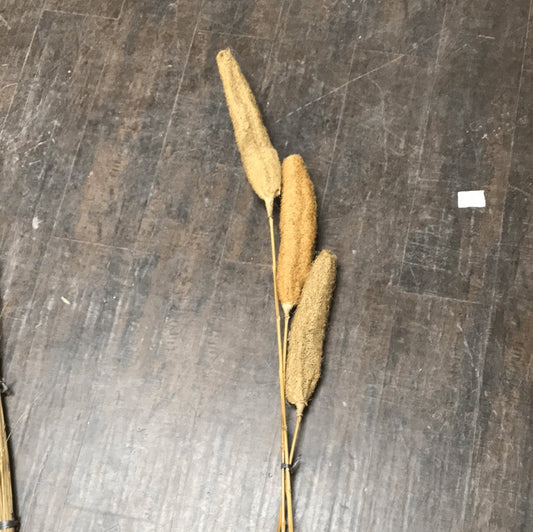 Pandanus Deco Stick G - Rustic Furniture Outlet