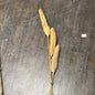 Pandanus Deco Stick G - Rustic Furniture Outlet