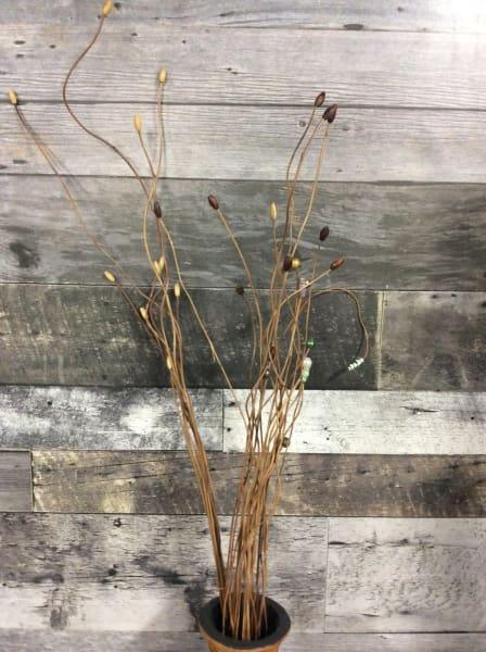 Pandanus Deco Stick Stand K Assorted (10 stems/bundle) - Rustic Furniture Outlet