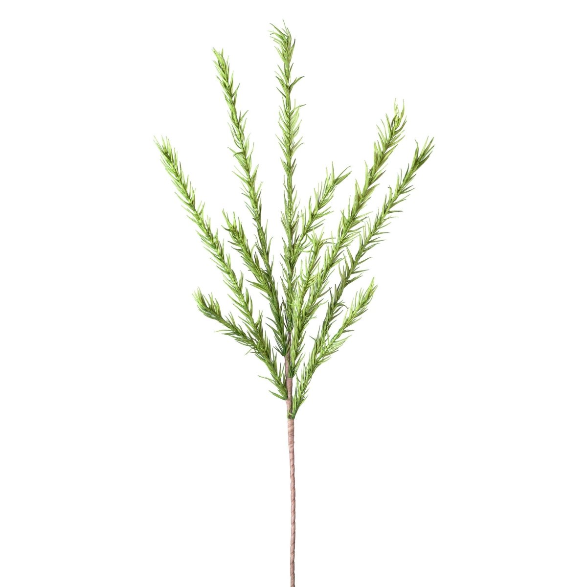 Green Desert Pine Stem - Rustic Furniture Outlet