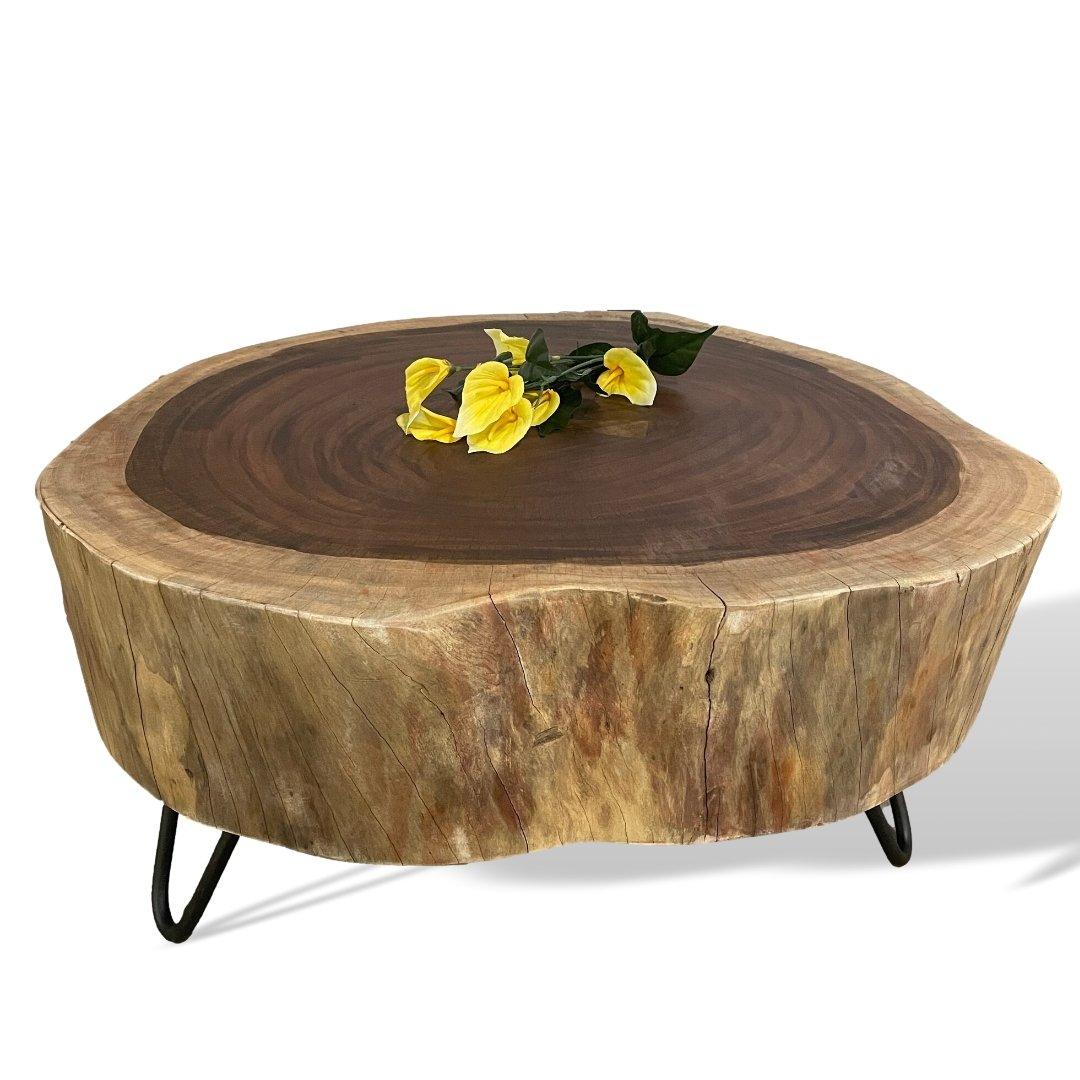 Table basse en bois d'acacia avec racine d'arbre - Rustic Furniture Outlet